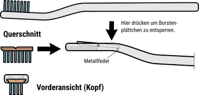 Borstenkopf-Einschub